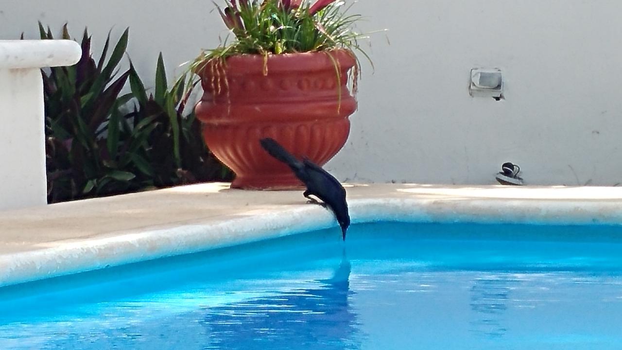 Sun Suites Cozumel Dış mekan fotoğraf