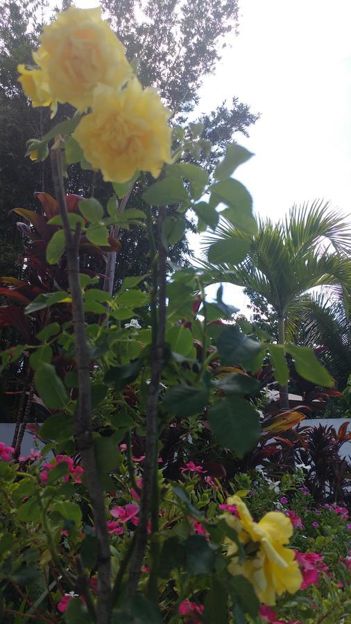 Sun Suites Cozumel Dış mekan fotoğraf
